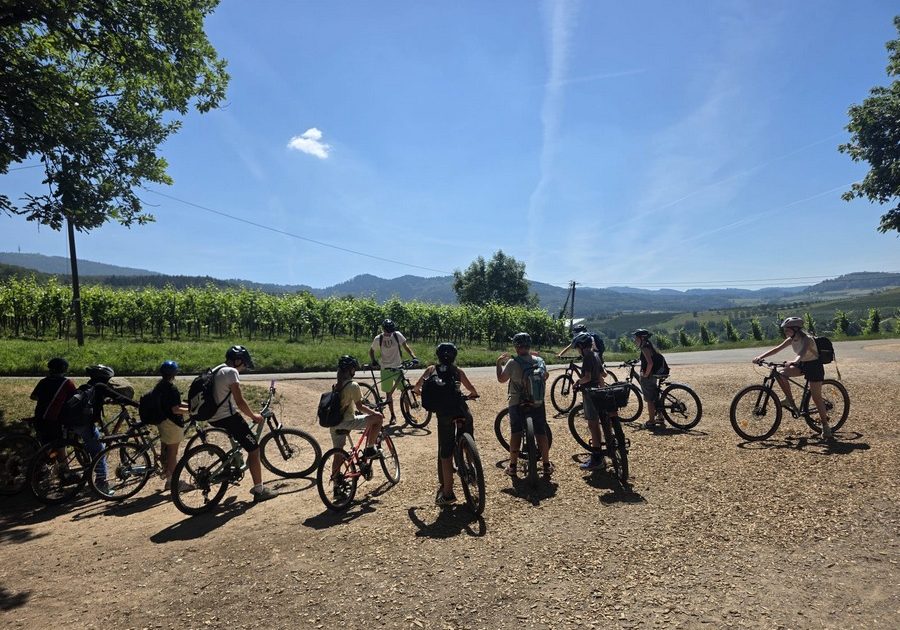 Bikeprojekt_image1