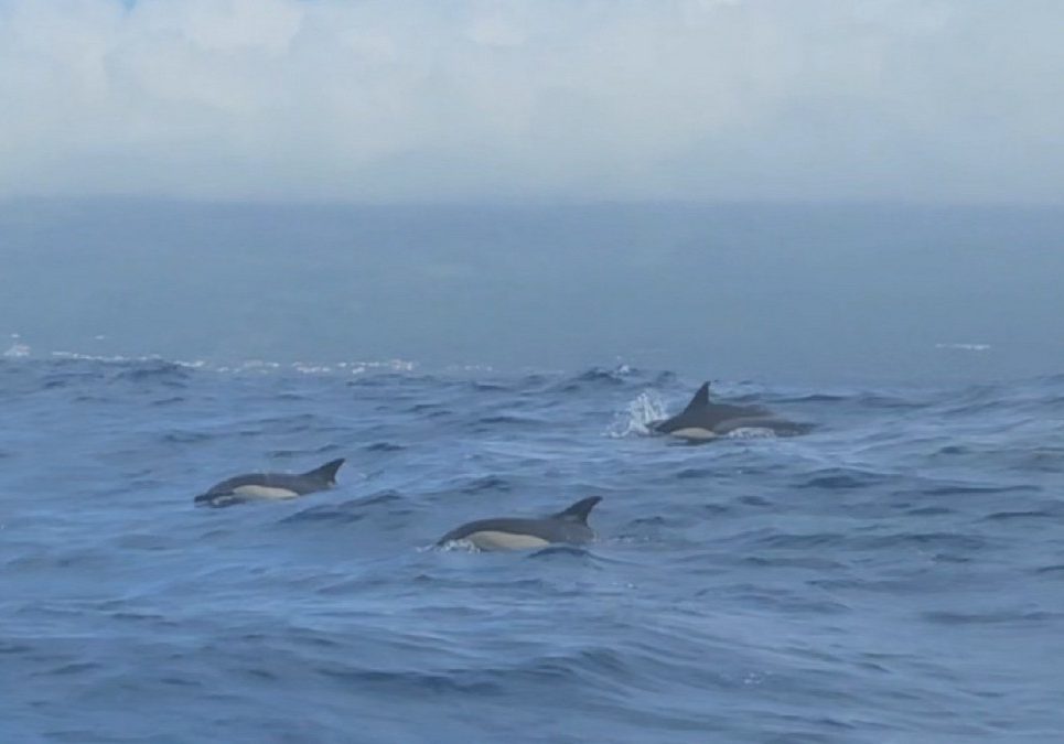 Expedition_AN_2024_kleiner_3