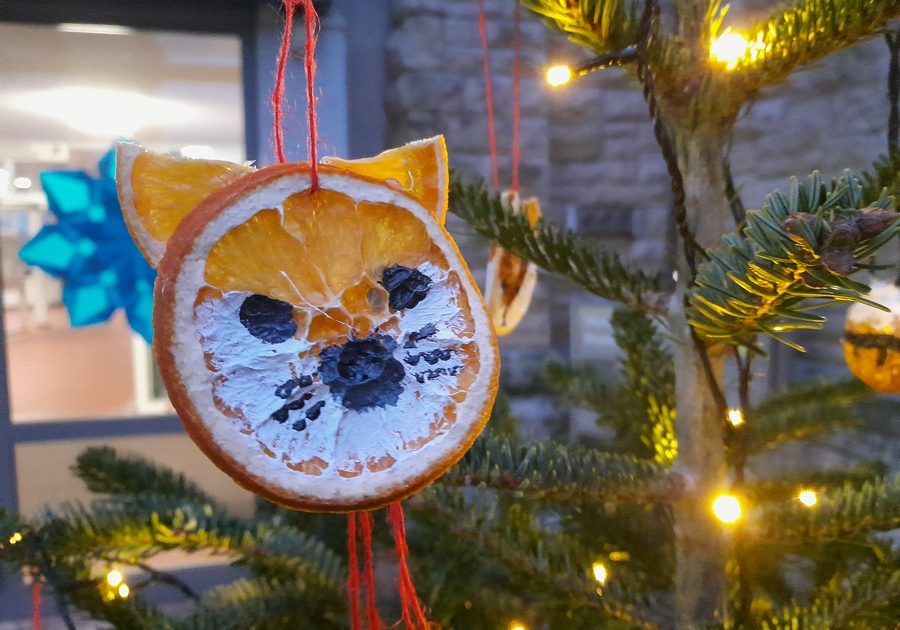 Weihnachtsbaum_20251205_165057